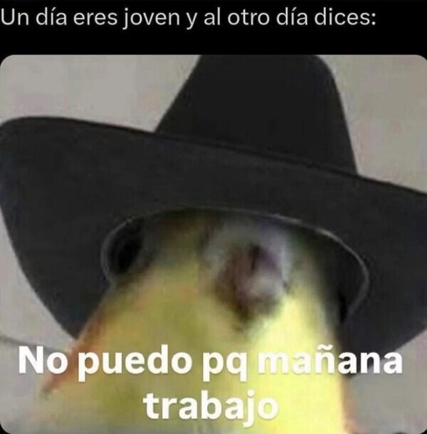Otros - Cuando el trabajo se interpone