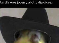 Enlace a Cuando el trabajo se interpone