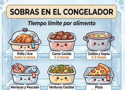 Enlace a ¿Cuánto aguanta la comida en el congelador?