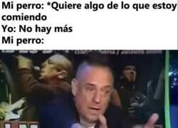 Enlace a Cuando a mi perro se le antoja mi comida
