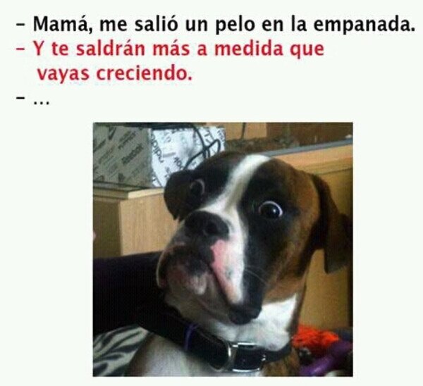 Otros - No se refería a esa empanada