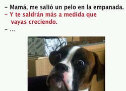 Enlace a No se refería a esa empanada