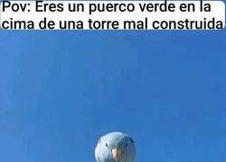 Enlace a Ahí viene un pájaro enfadado