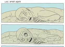 Enlace a La vida después de la muerte