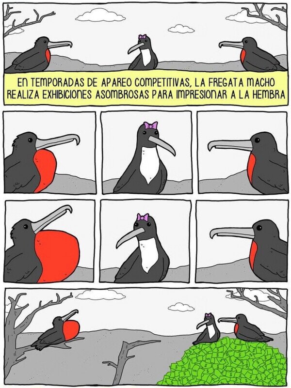 Meme_otros - Exhibiciones asombrosas para impresionar a la hembra