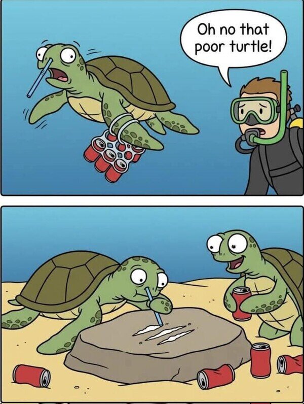 Meme_otros - Pobres tortuguitas...