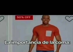 Enlace a La Importancia de la coma
