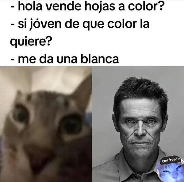 Meme_otros - Daltonismo en Estado Puro