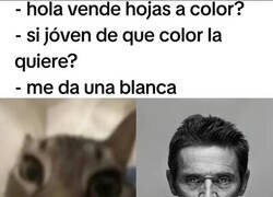 Enlace a Daltonismo en Estado Puro