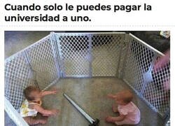 Enlace a La ley del más fuerte