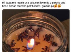 Enlace a Le dan el toque