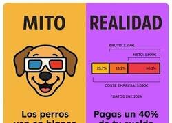 Enlace a No te creas todo lo que oyes