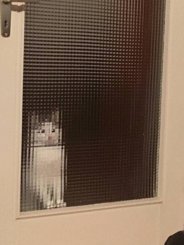 Meme_otros - Gato pixelado