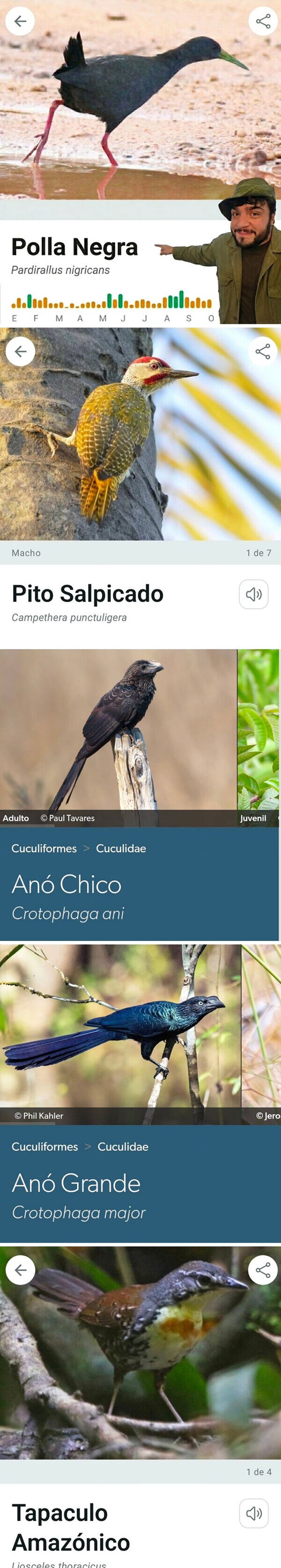 Otros - El encargado de nombrar pájaros era un cachondo