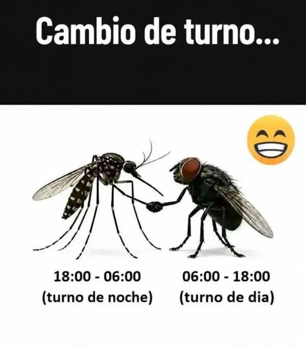 Otros - Cambio de turno
