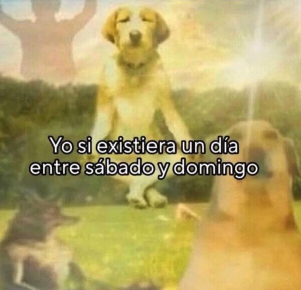 Meme_otros - Es tan necesario...