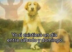 Enlace a Es tan necesario...