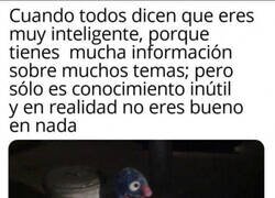 Enlace a Conocimiento inútil