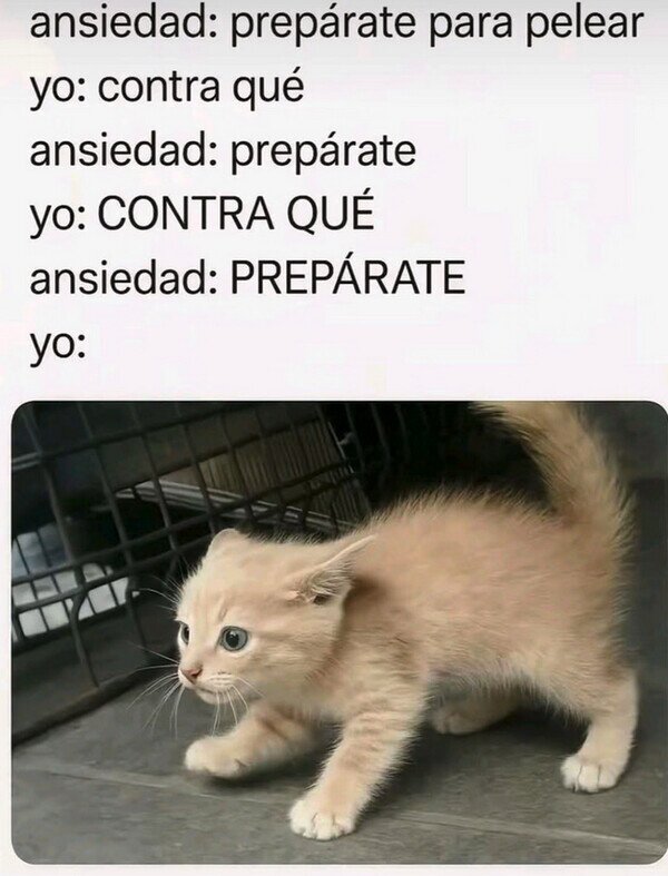 Meme_otros - Eso es la ansiedad