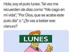 Enlace a Hola, soy un lunes