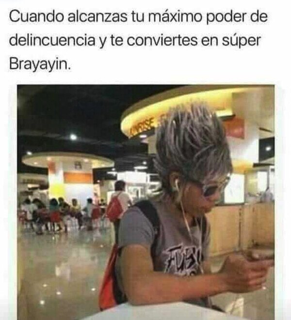 Meme_otros - La máxima evolución