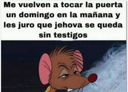 Enlace a No me molesten un domingo