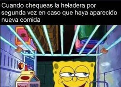Enlace a Por si acaso