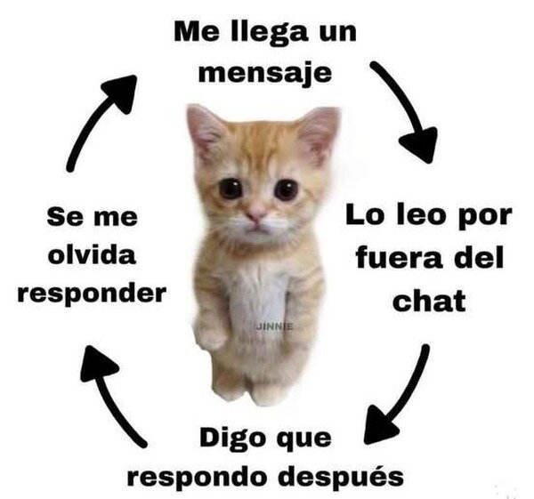Meme_otros - Si ves que te ignoro es por esto