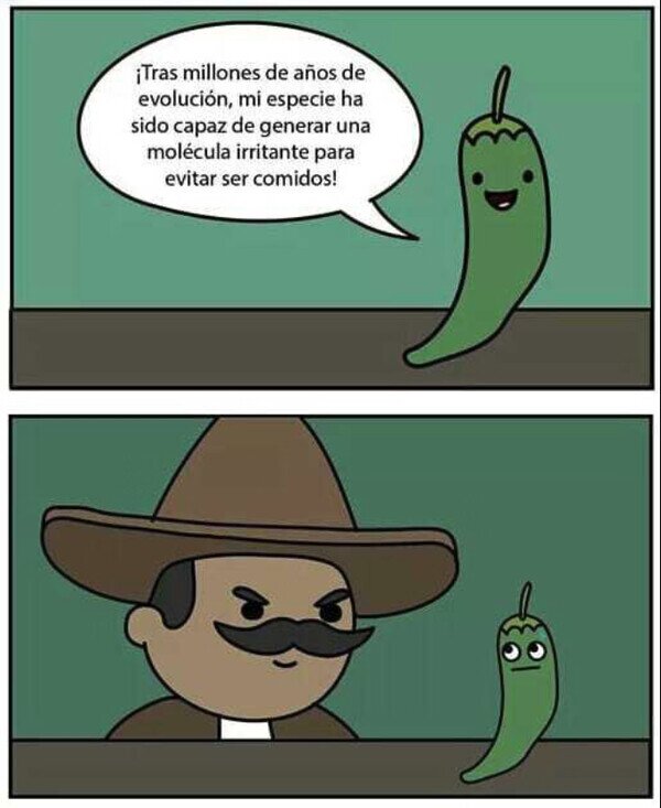 Meme_otros - Los mexicanos no entendieron el concepto