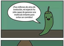 Enlace a Los mexicanos no entendieron el concepto