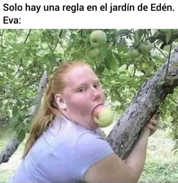 Meme_otros - La regla está para saltársela, debió pensar