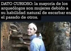 Enlace a Dato curioso