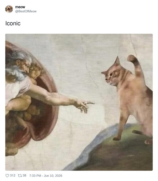Otros - Ni Dios caía bien a su gato