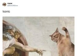 Enlace a Ni Dios caía bien a su gato