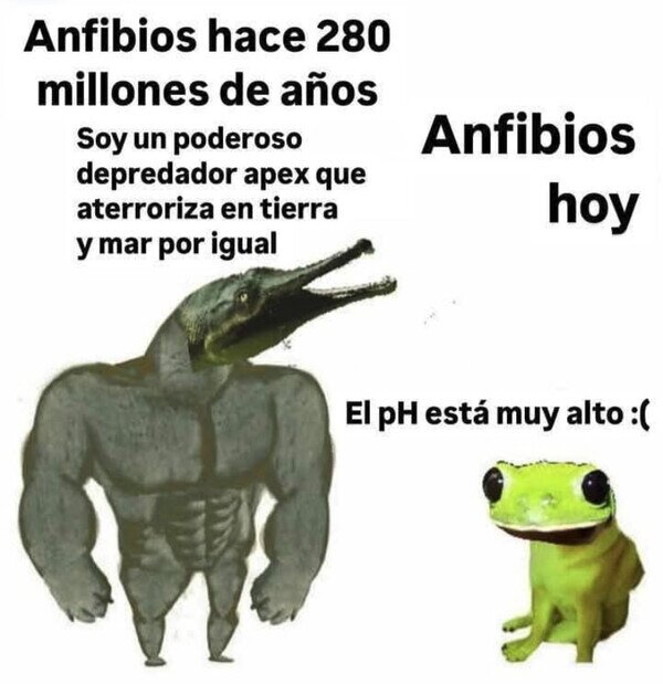 Otros - Los amfibios no son lo que eran