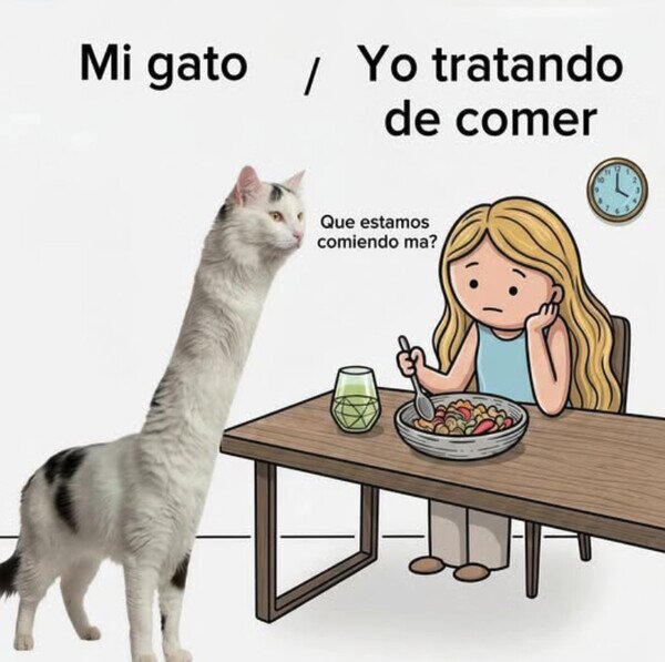 Meme_otros - Mi gato cuando estoy comiendo
