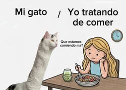Enlace a Mi gato cuando estoy comiendo