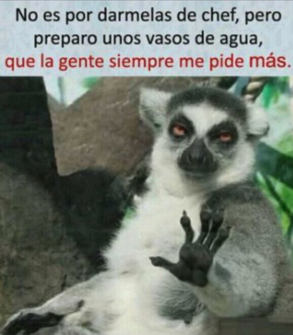 Meme_otros - Mi plato estrella