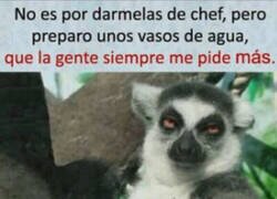 Enlace a Mi plato estrella