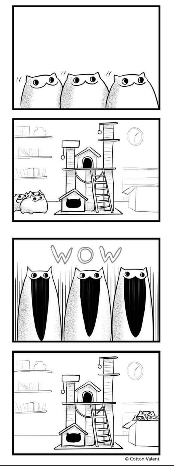 gatos,mueble,nuevo,caja,cart&oacute;n