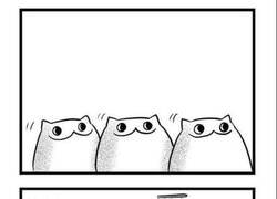 Enlace a Gatos cuando les compran un mueble nuevo