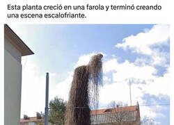 Enlace a La naturaleza puede ser terrorífica