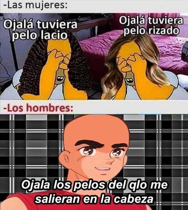 Meme_otros - Nadie tiene el pelo que quiere