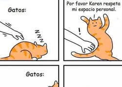 Enlace a El espacio de un gato