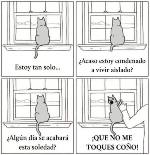 Otros - La soledad de un gato