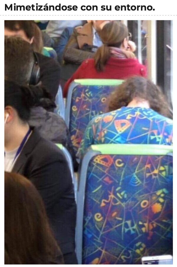 Otros - Cuando decides ir de asiento de autobús