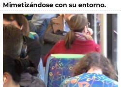 Enlace a Cuando decides ir de asiento de autobús