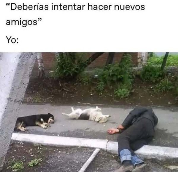 Meme_otros - Yo intentando hacer amigos