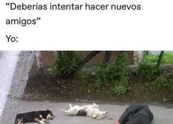 Enlace a Yo intentando hacer amigos