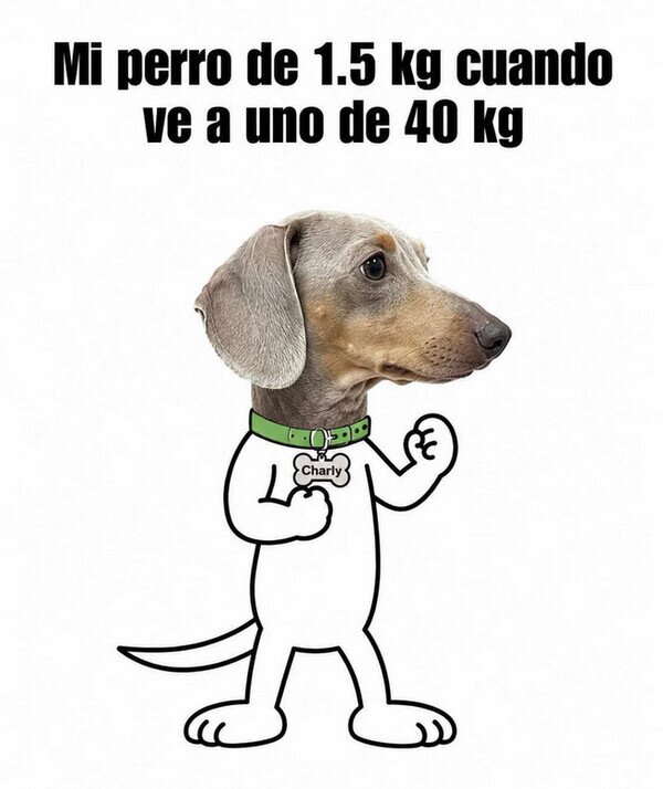 Meme_otros - No entiende de desigualdad